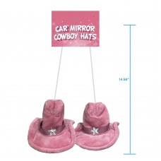 car mirror-cowboy hats