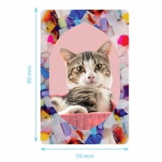 Acetate Frame Magnets