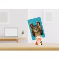 Cat Paw Photo Stand Magnets