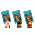 Cat Paw Photo Stand Magnets