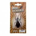 Speedy cockroach